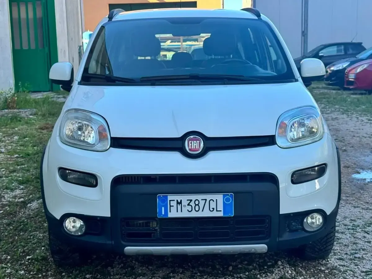 Usata Fiat Panda 4x4 S 80 CV (58 kW) 2017 Bianco Utilitaria