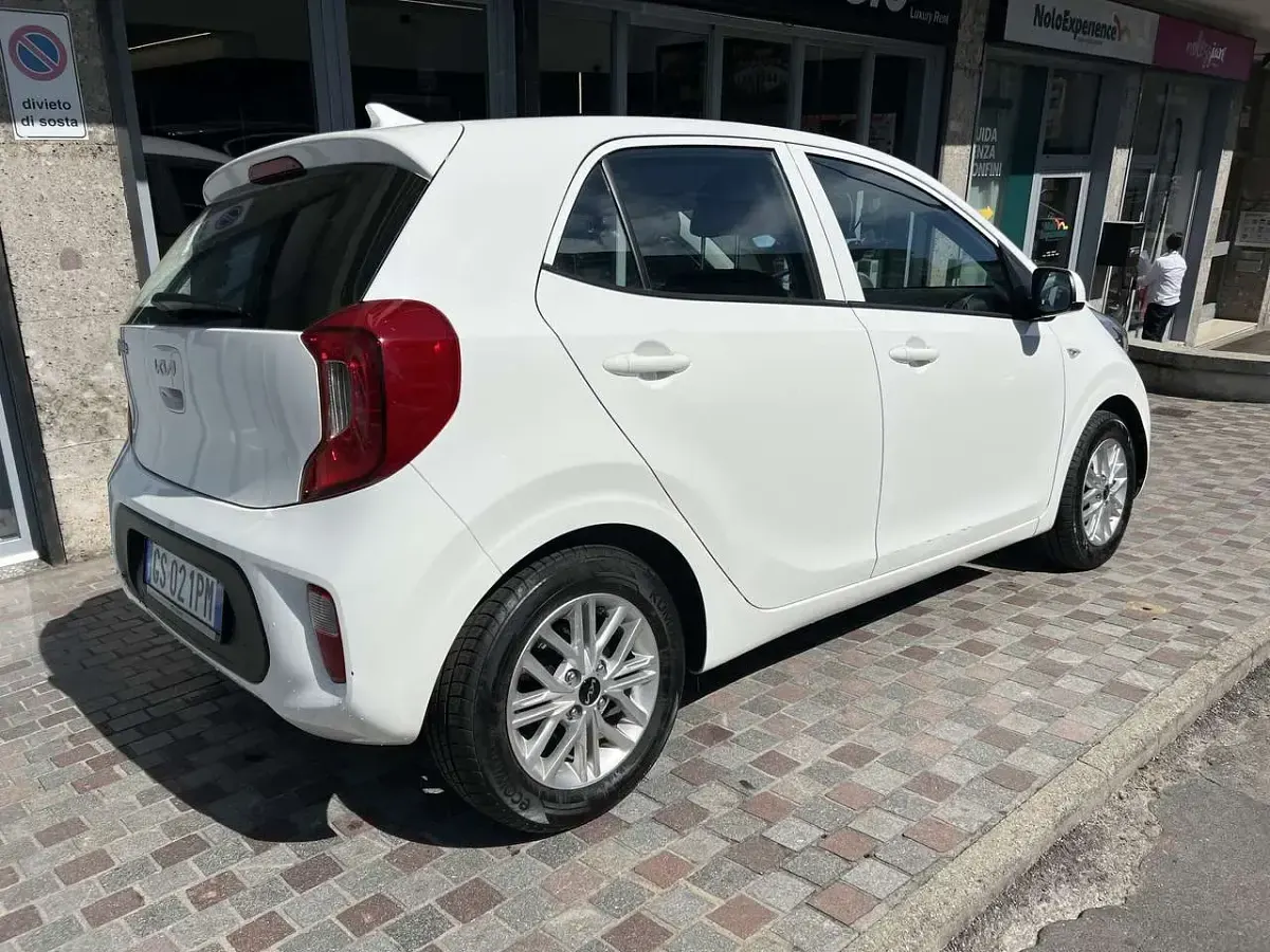 Usata Kia Picanto Urban 67 CV (49 kW) 2024 Bianco Utilitaria