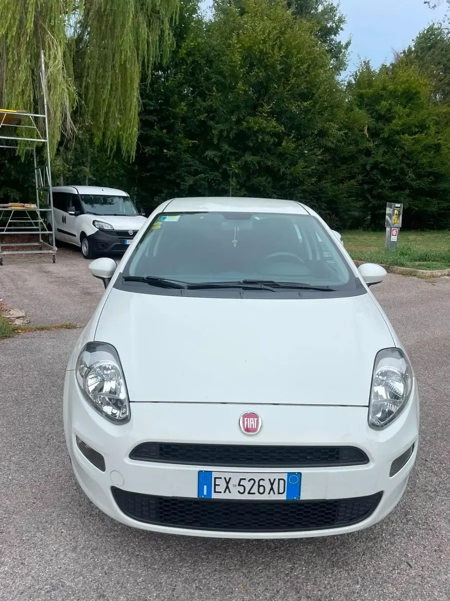 Usata Fiat Punto Lounge 75 CV (55 kW) 2014 Bianco Utilitaria