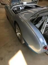 Usata Austin Healey 100 90 CV (66 kW) 1954 Blu Cabrio