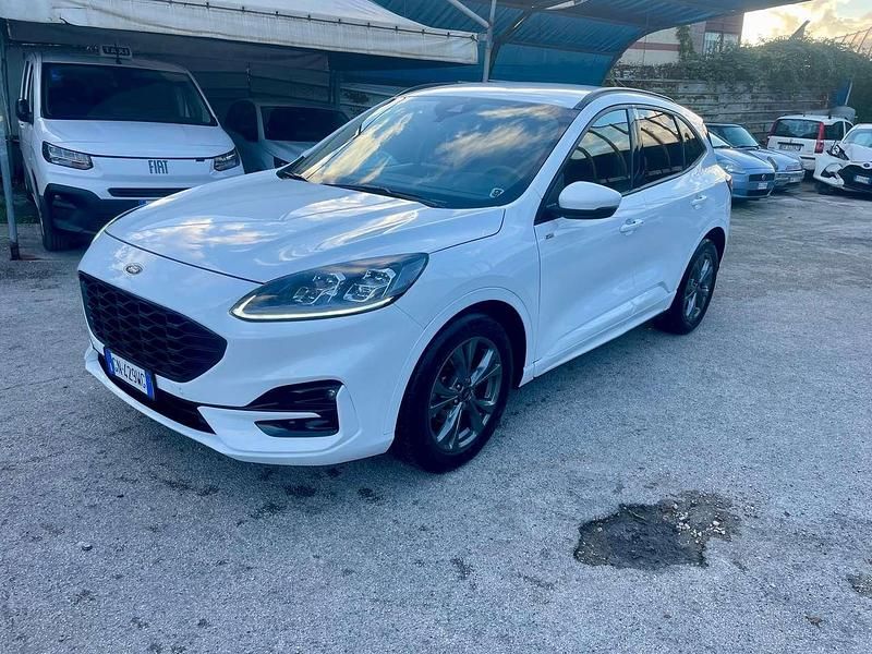 Usata Ford Kuga ST-Line X 120 CV (88 kW) 2023 Bianco SUV