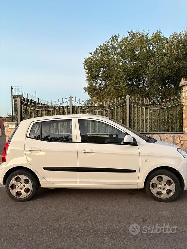 Usata Kia Picanto 62 CV (45 kW) 2010 Bianco Utilitaria