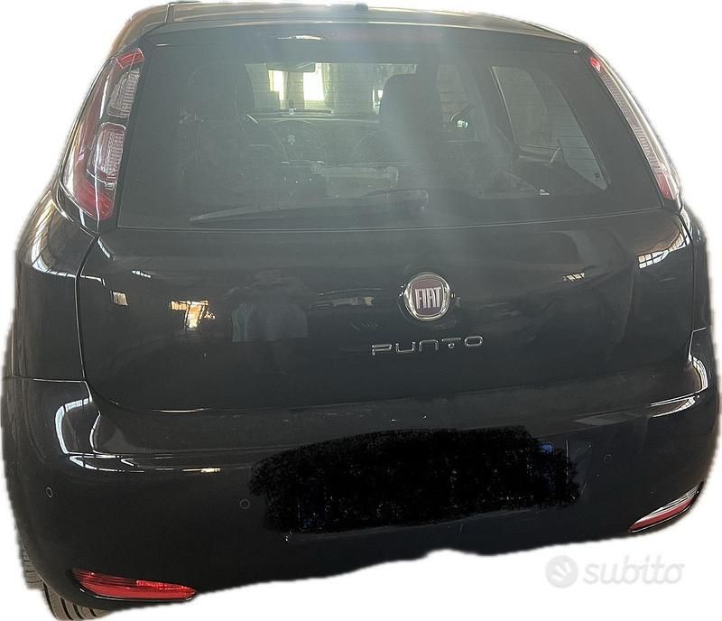 Usata Fiat Punto 65 CV (47 kW) 2014 Nero Utilitaria