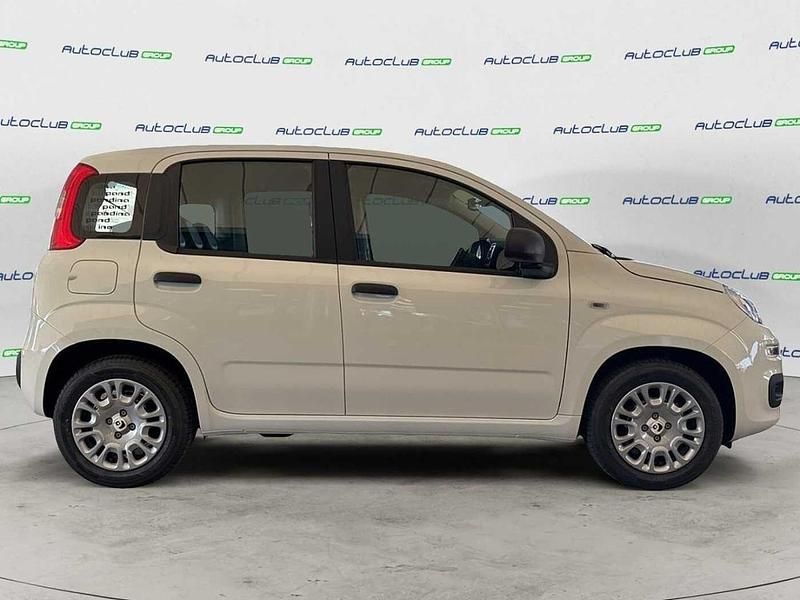 Nuova Fiat Panda Icon 69 CV (50 kW) 2025 Bianco Utilitaria