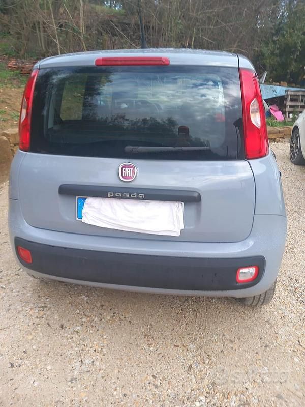 Usata Fiat Panda Easy 69 CV (50 kW) 2017 Grigio Utilitaria