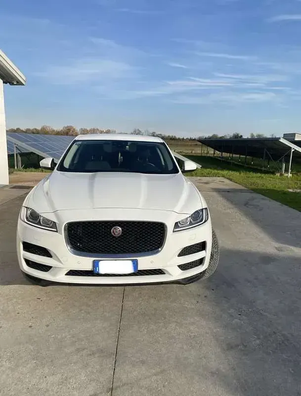 Usata Jaguar F-Pace Portfolio 180 CV (132 kW) 2017 Bianco SUV