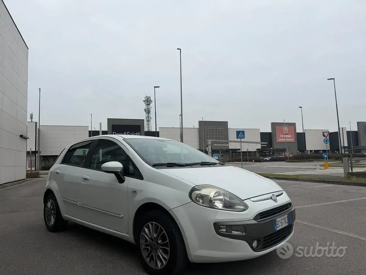 Usata Fiat Punto Evo Dynamic 65 CV (47 kW) 2010 Bianco Utilitaria