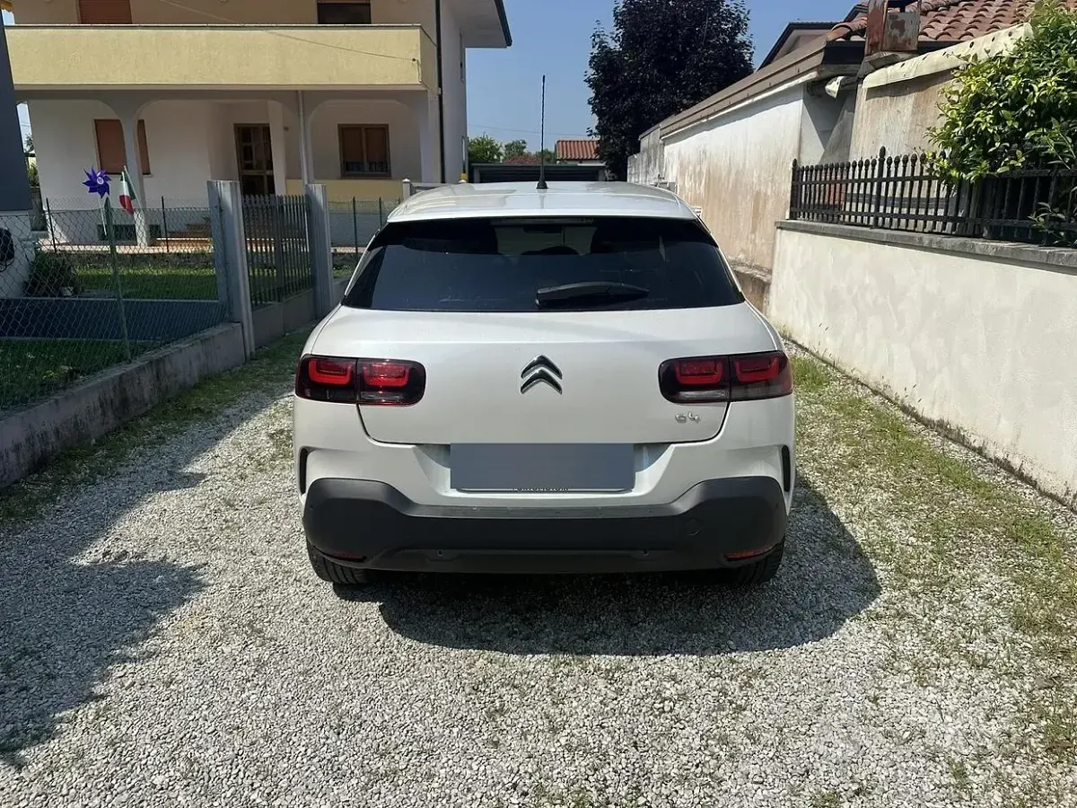 Usata Citroën C4 Shine 110 CV (80 kW) 2020 Bianco Berlina