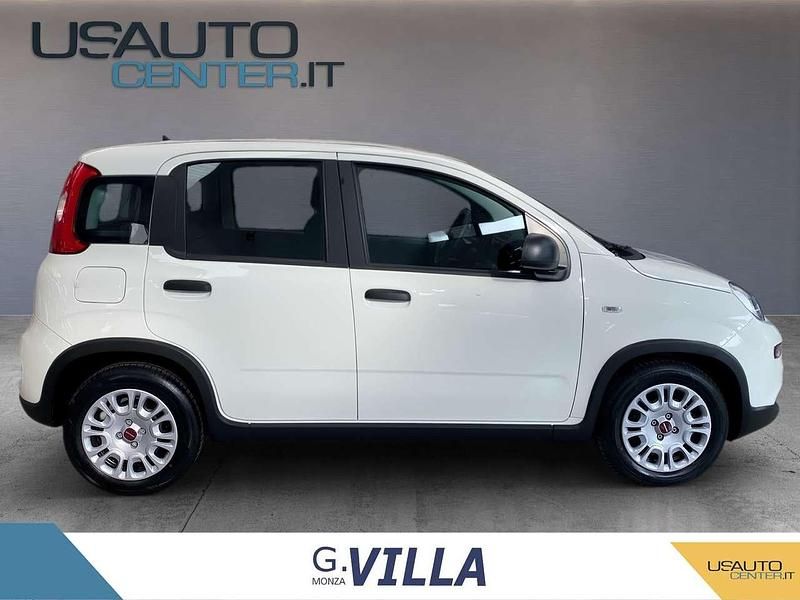 Usata Fiat Panda Icon 70 CV (51 kW) 2024 Bianco Utilitaria