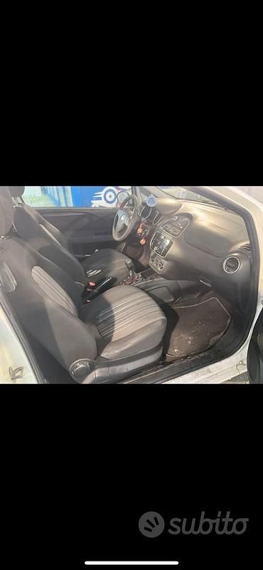 Usata Fiat Punto Evo 75 CV (55 kW) 2011 Utilitaria