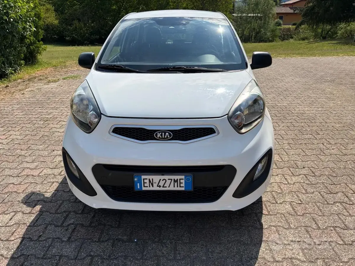 Usata Kia Picanto 69 CV (50 kW) 2012 Bianco Utilitaria