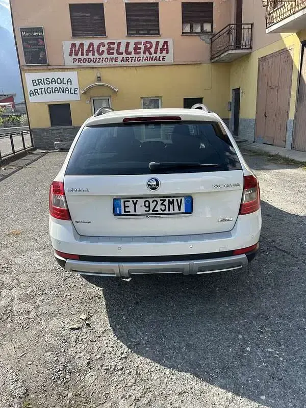 Usata Skoda Octavia Scout 4x4 184 CV (135 kW) 2015 Station wagon