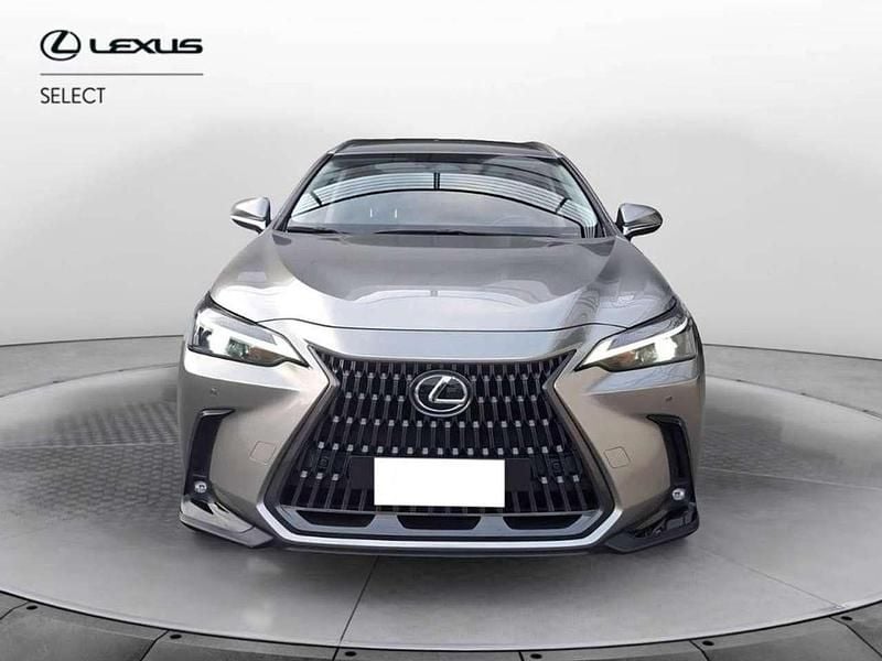 Usata Lexus NX350h 243 CV (178 kW) 2022 Sonic titanium SUV
