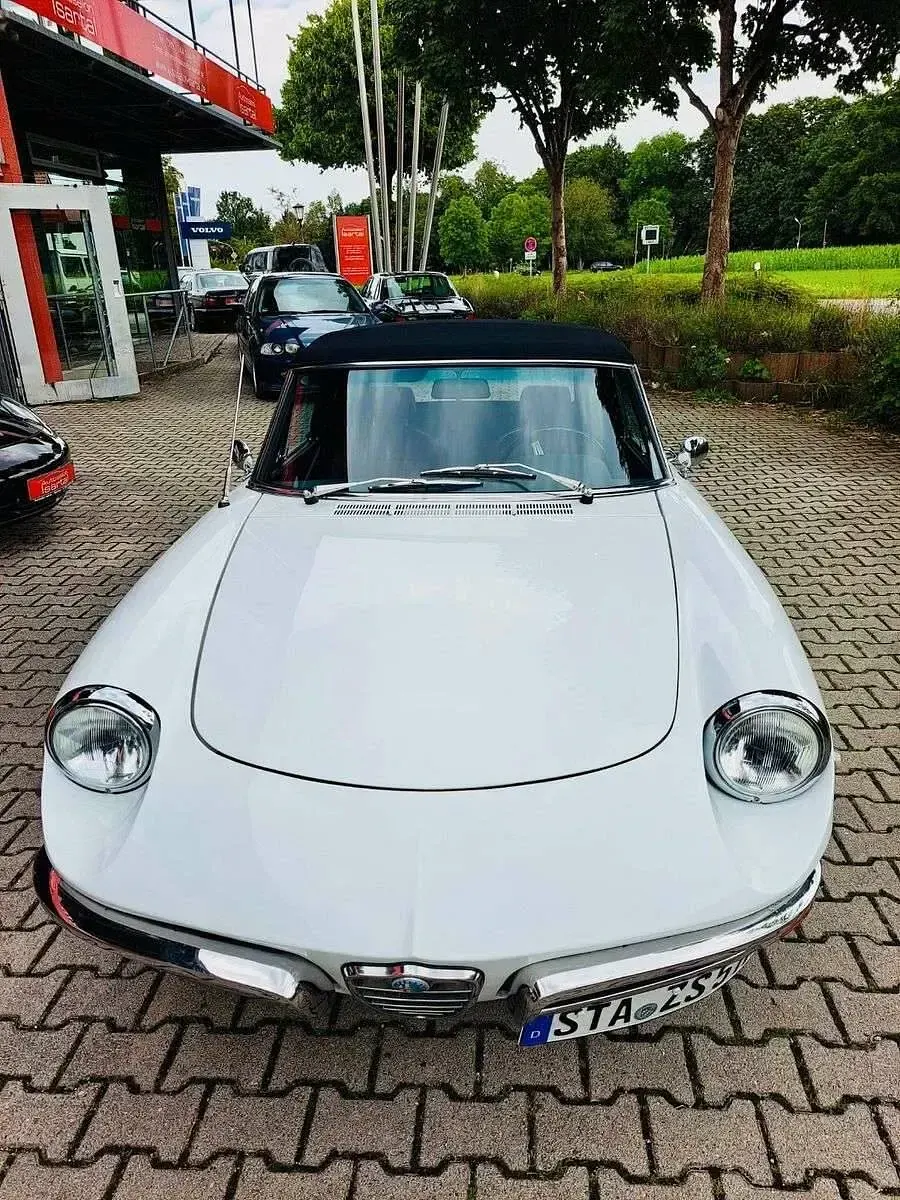 Usata Alfa Romeo Spider 118 CV (86 kW) 1969 Bianco Cabrio