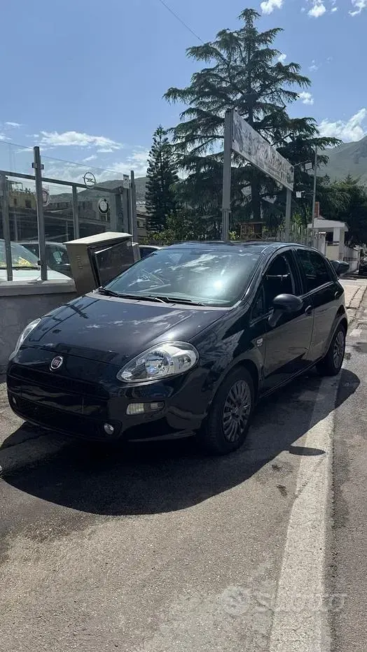 Usata Fiat Punto Evo Dynamic 85 CV (62 kW) 2014 Nero Utilitaria