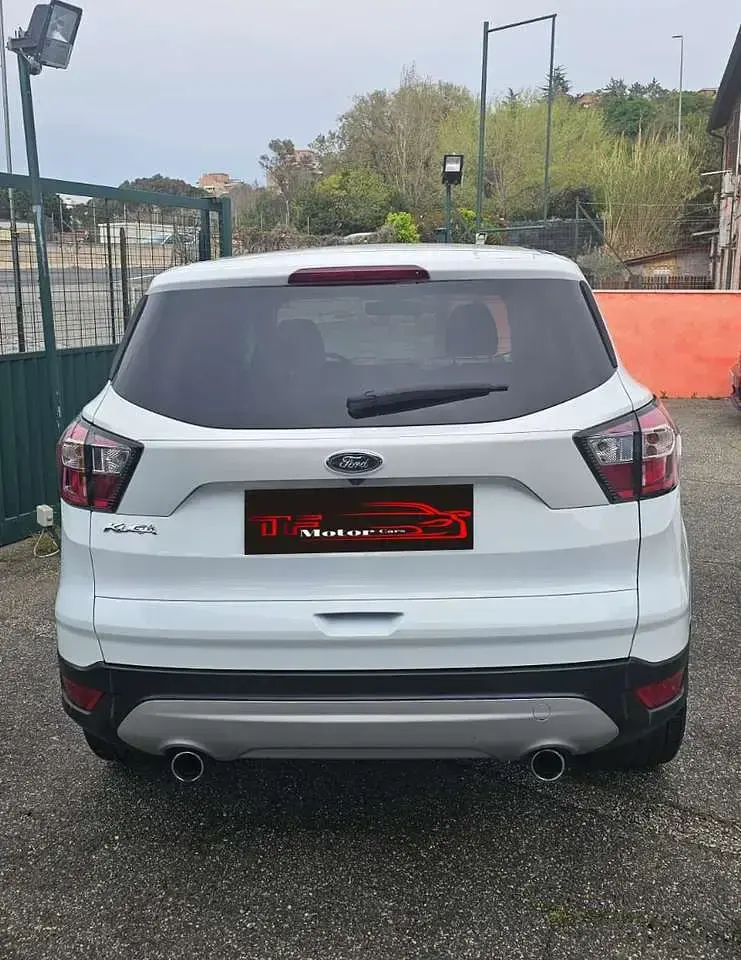 Usata Ford Kuga Sport 120 CV (88 kW) 2019 Bianco SUV