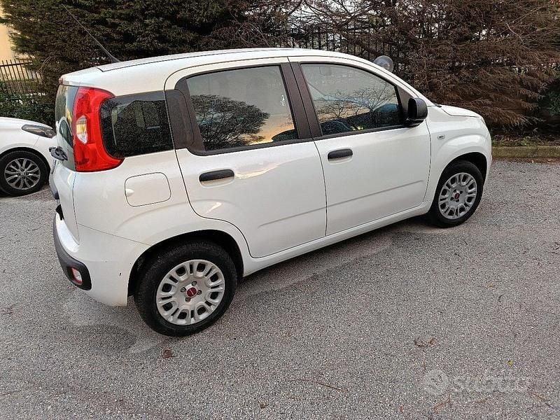 Usata Fiat Panda 70 CV (51 kW) 2021 Bianco Utilitaria