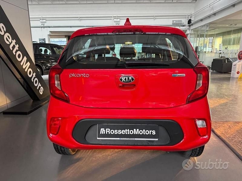 Usata Kia Picanto X-Line 67 CV (49 kW) 2019 Rosso Utilitaria