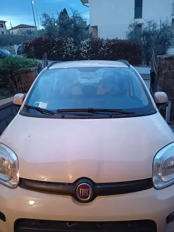 Usata Fiat Panda 4x4 Climbing 75 CV (55 kW) 2012 Utilitaria