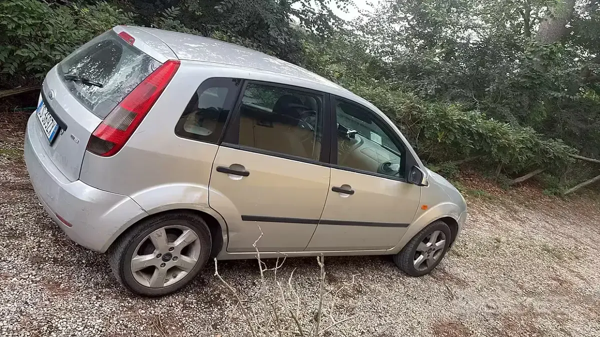 Usata Ford Fiesta 68 CV (50 kW) 2005 Grigio Utilitaria