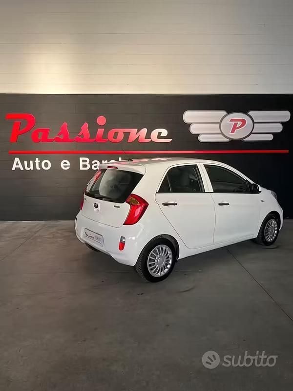 Usata Kia Picanto 67 CV (49 kW) 2015 Bianco Utilitaria