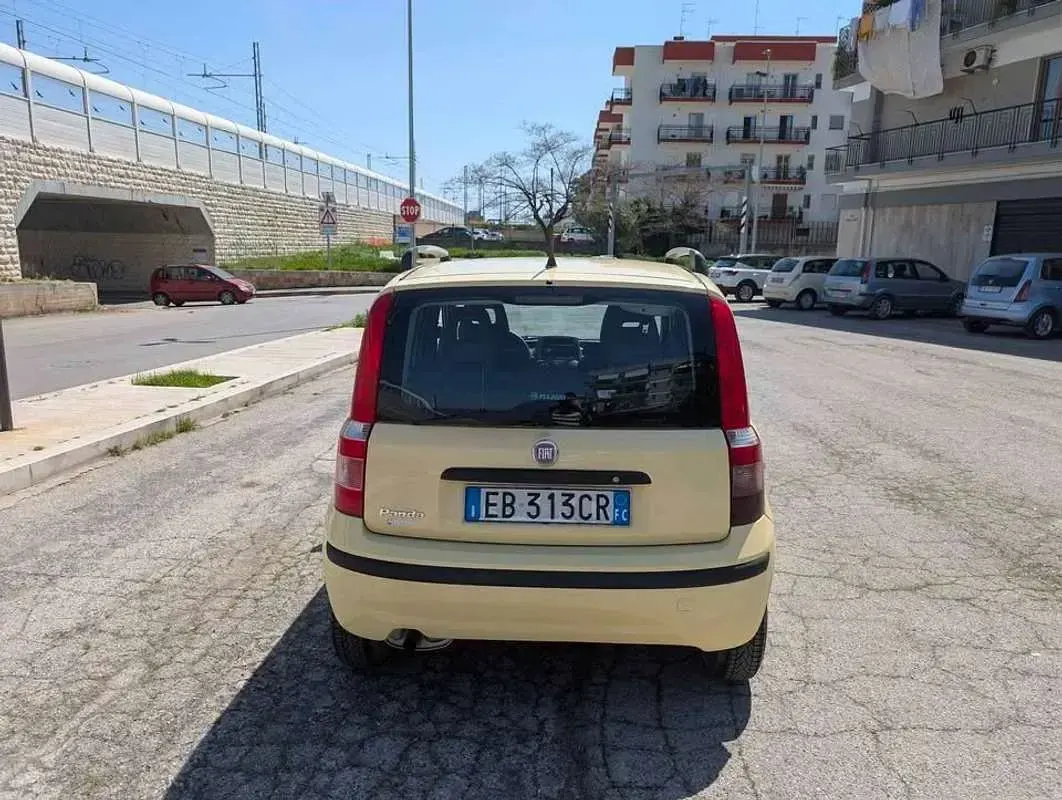 Usata Fiat Panda Dynamic 69 CV (50 kW) 2010 Giallo Utilitaria