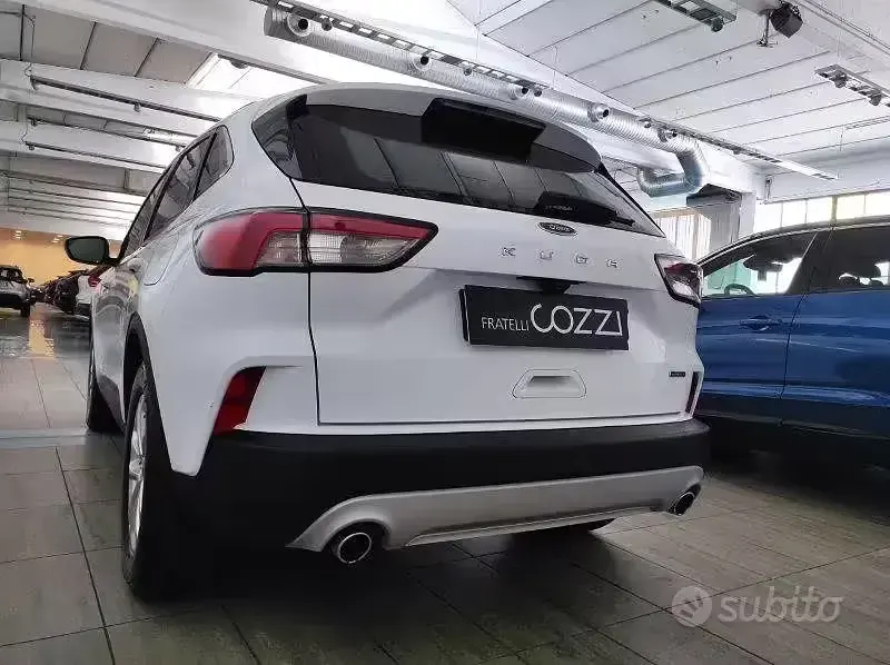 Usado Ford Kuga Business Edition 152 CV (111 kW) 2021 Blanco SUV