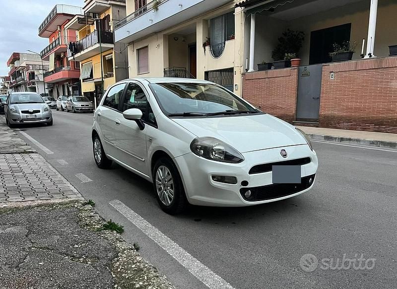 Usata Fiat Punto Evo 75 CV (55 kW) 2014 Bianco Utilitaria
