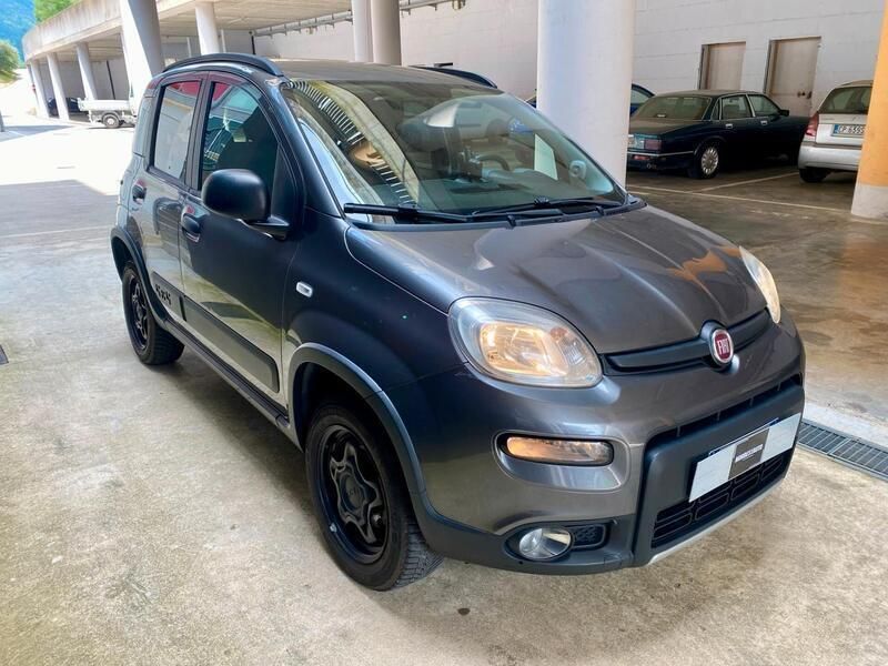 Usata Fiat Panda 4x4 S 85 CV (62 kW) 2018 Grigio Utilitaria