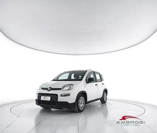 Usata Fiat Panda S 69 CV (50 kW) 2023 Bianco Utilitaria