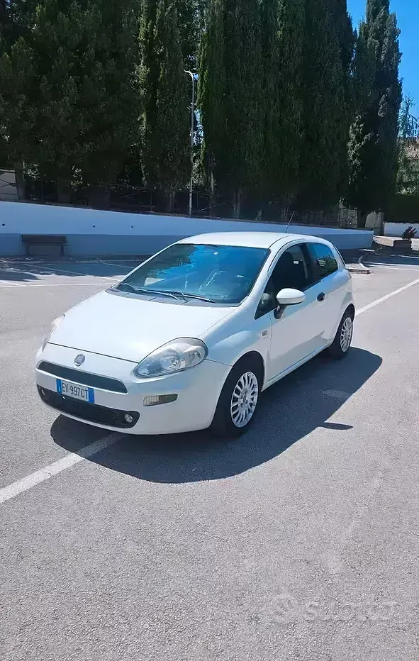 Usata Fiat Punto Lounge 77 CV (56 kW) 2014 Bianco Utilitaria