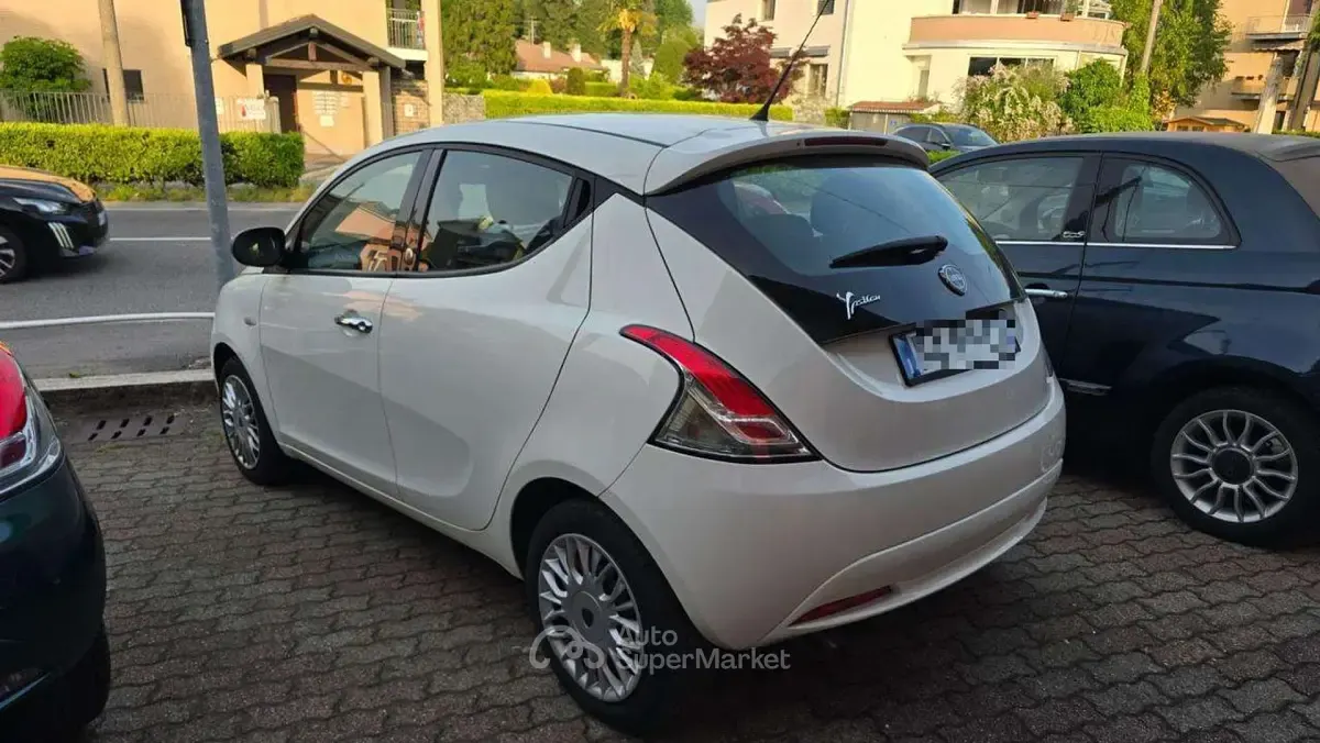 Usata Lancia Ypsilon 69 CV (50 kW) 2016 Bianco Utilitaria