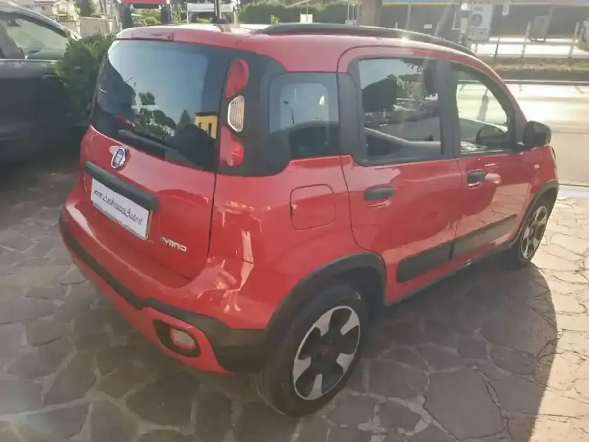 Usata Fiat Panda Cross Cross 69 CV (50 kW) 2020 Rosso Utilitaria