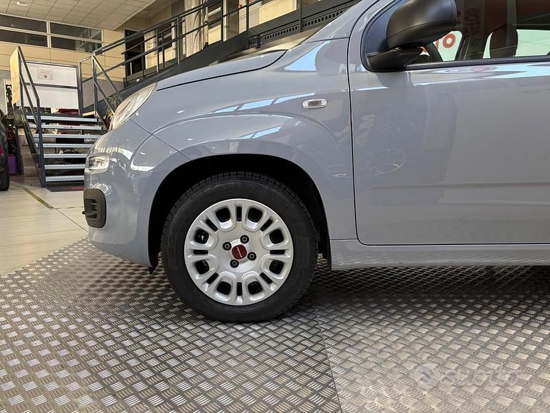 Usata Fiat Panda Lounge 69 CV (50 kW) 2018 Grigio Utilitaria
