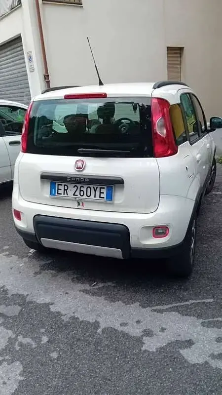 Usata Fiat Panda 4x4 75 CV (55 kW) 2012 Bianco Utilitaria
