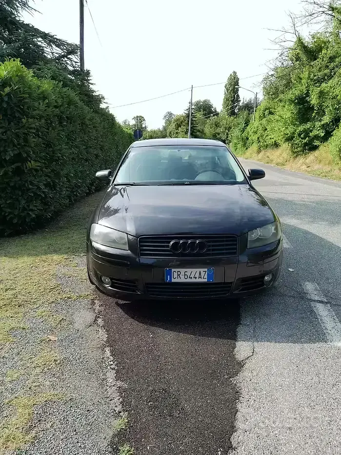 Usata Audi A3 105 CV (77 kW) 2004 Utilitaria