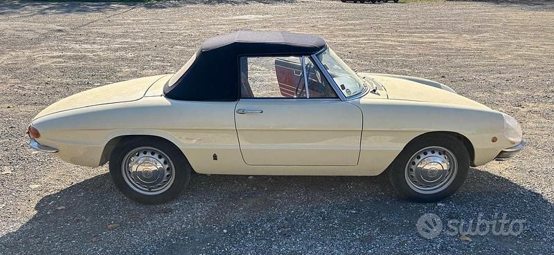 Usata Alfa Romeo Spider 1960 Cabrio