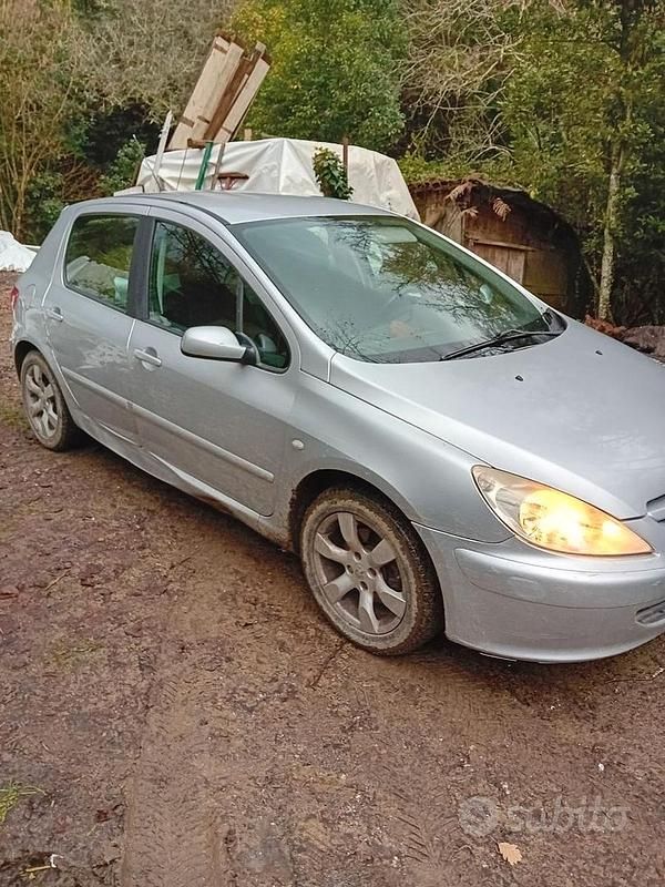 Usata Peugeot 307 90 CV (66 kW) 2002 Grigio Berlina