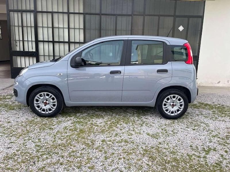Usata Fiat Panda Easy 69 CV (50 kW) 2020 Other Utilitaria