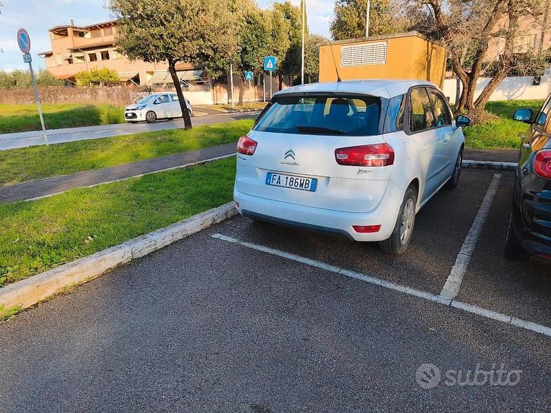 Usata Citroën C4 Picasso Business Class 100 CV (73 kW) 2015 Bianco Monovolume