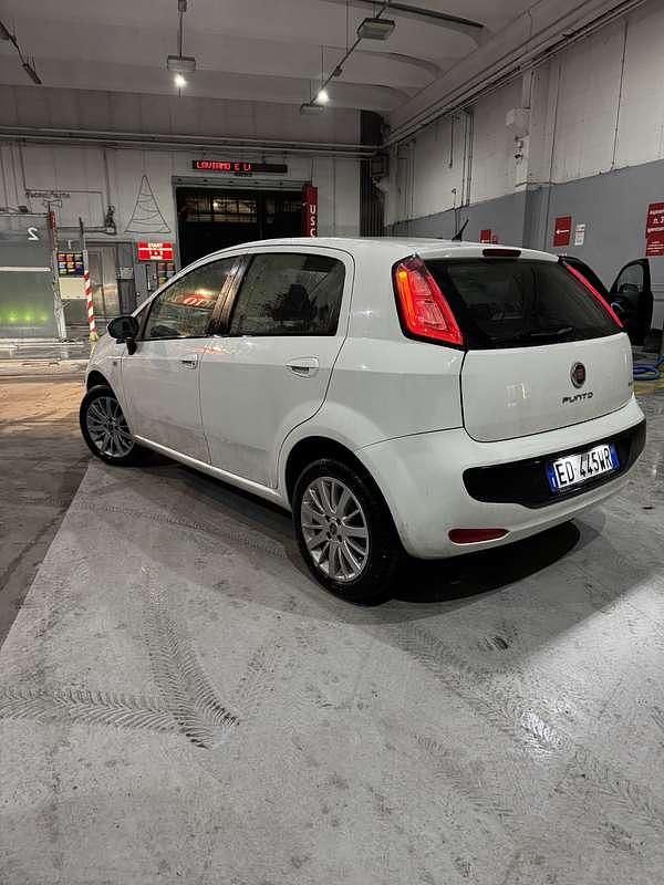 Usata Fiat Punto Evo Active 69 CV (50 kW) 2009 Utilitaria