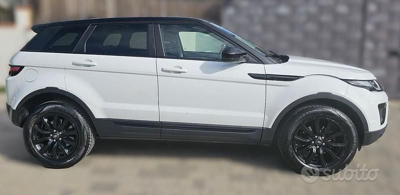 Usata Land Rover Range Rover evoque SE 150 CV (110 kW) 2018 Bianco SUV