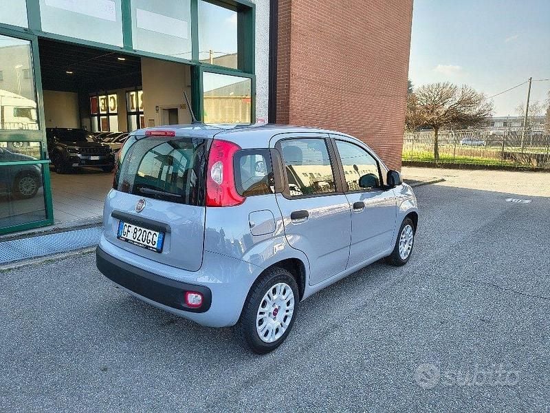 Usata Fiat Panda Easy 69 CV (50 kW) 2021 Grigio Utilitaria