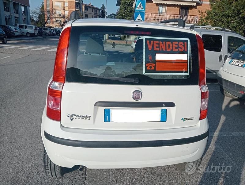 Usata Fiat Panda Dynamic 77 CV (56 kW) 2009 Bianco Utilitaria