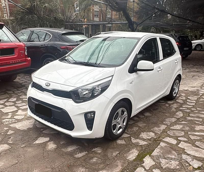 Usata Kia Picanto X-Line 65 CV (47 kW) 2019 Bianco Utilitaria