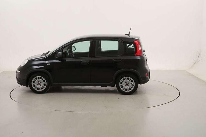 Usata Fiat Panda 71 CV (52 kW) 2023 Nero Utilitaria