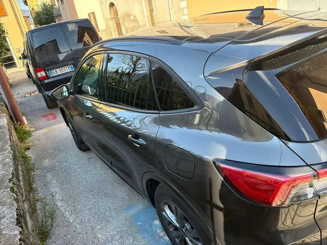 Usata Ford Kuga ST-Line 150 CV (110 kW) 2023 Grigio SUV