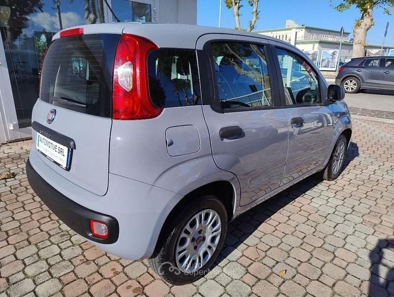 Usata Fiat Panda Easy 69 CV (50 kW) 2019 Grigio chiaro Utilitaria
