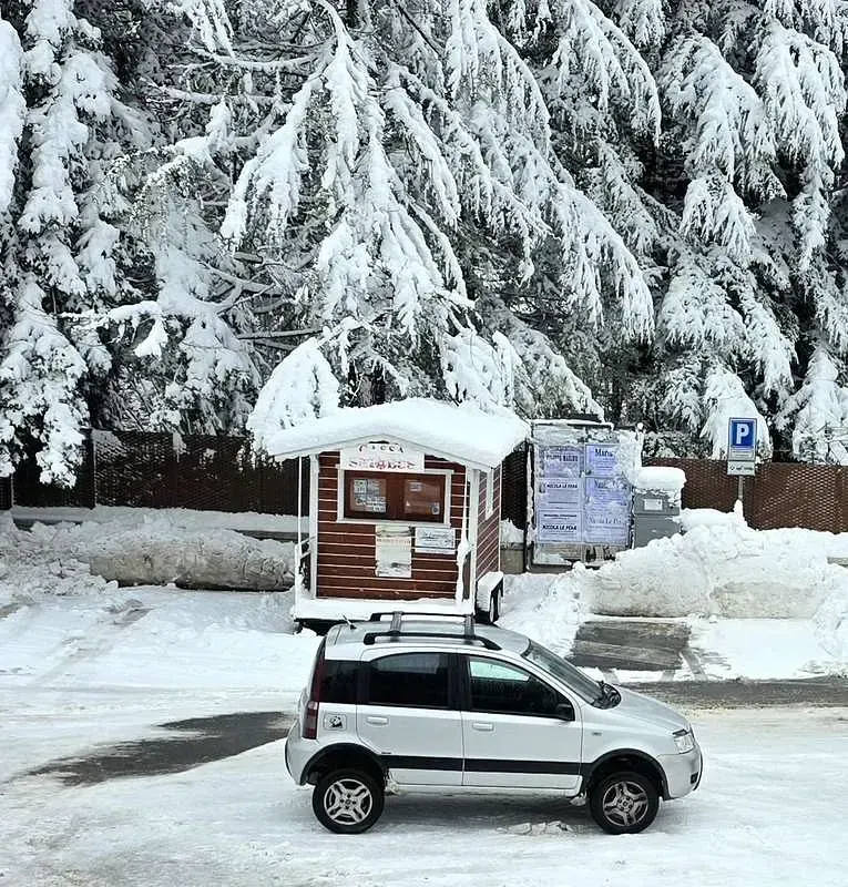 Usata Fiat Panda 4x4 60 CV (44 kW) 2008 Utilitaria