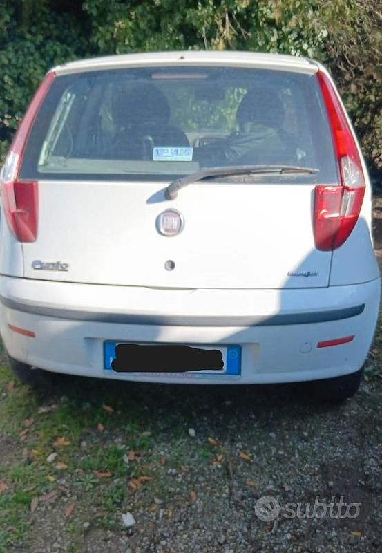 Usata Fiat Punto 2009 Bianco Utilitaria